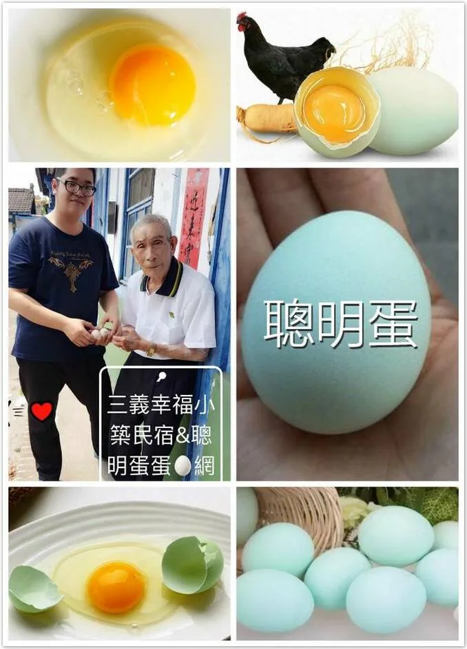 三義旅遊,三義便宜民宿,三義汽旅,苗栗三義民宿推薦,三義民宿包棟,苗栗平價民宿,客家桐花季,三義木雕博物館,苗栗住宿評價,苗栗三義幸福小築民宿