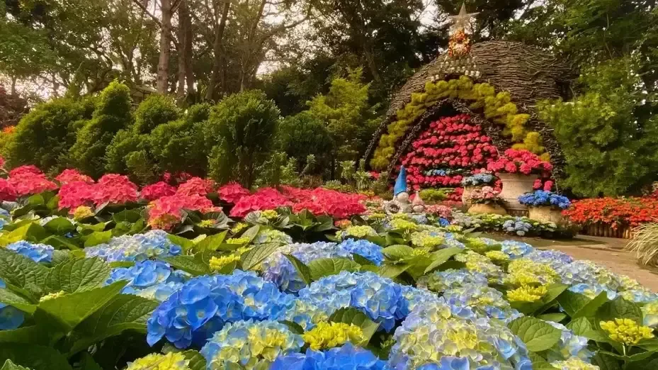 圖片